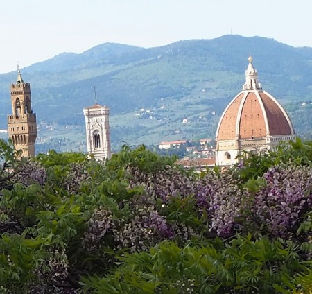 2. Panorama di Firenze con sullo sfondo Monte Morello